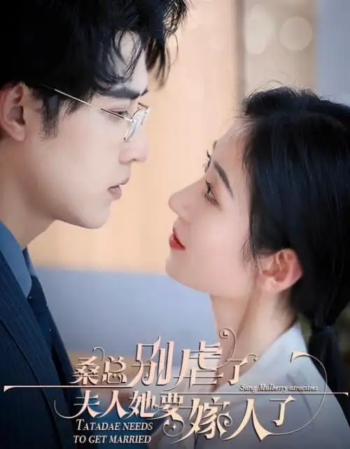 归途列车 年代情感电视剧全集免费观看